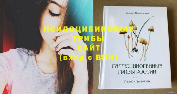 экстази Абаза