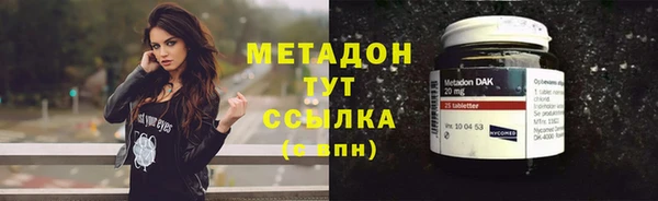 прущие грибы Абдулино