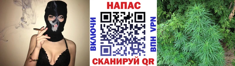 хочу   Заволжье  Марихуана Amnesia 