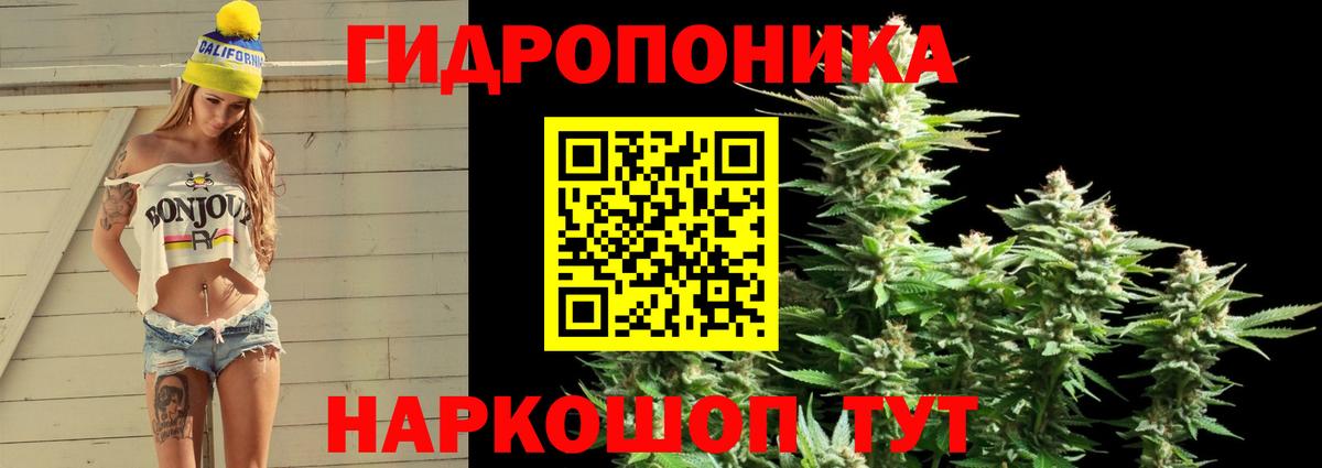 Конопля планчик Заволжье